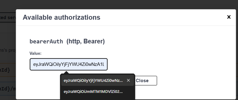 Bearer token input field